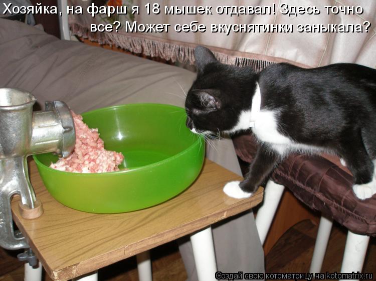 Котоматрица: Хозяйка, на фарш я 18 мышек отдавал! Здесь точно все? Может себе вкуснятинки заныкала?
