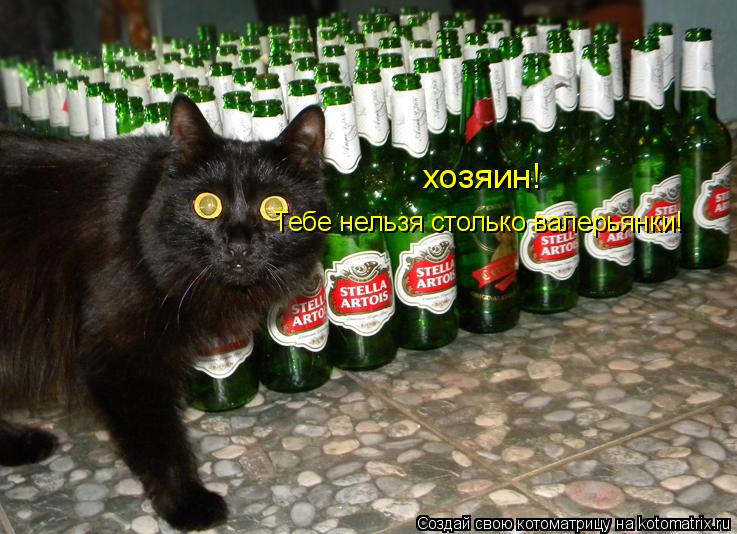 Котоматрица: хозяин! Тебе нельзя столько валерьянки!