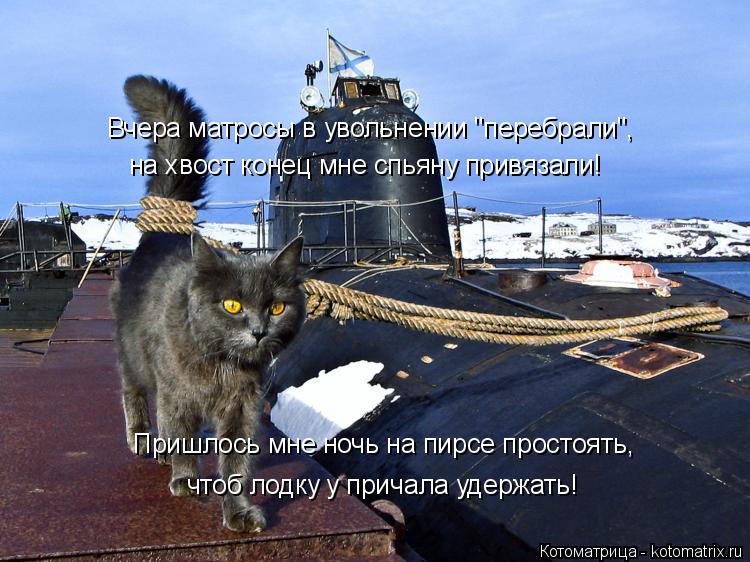 Котоматрица: Вчера матросы в увольнении "перебрали", на хвост конец мне спьяну привязали! Пришлось мне ночь на пирсе простоять, чтоб лодку у причала удер