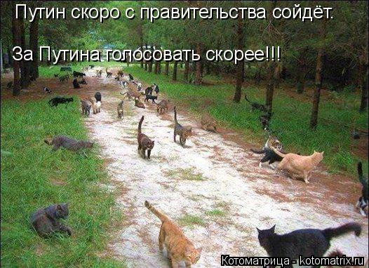 Путин скоро с правительства сойдёт. За Путина голосовать скорее!!!... Котоматрица: Путин скоро с правительства сойдёт. За Путина голосовать скорее!!!