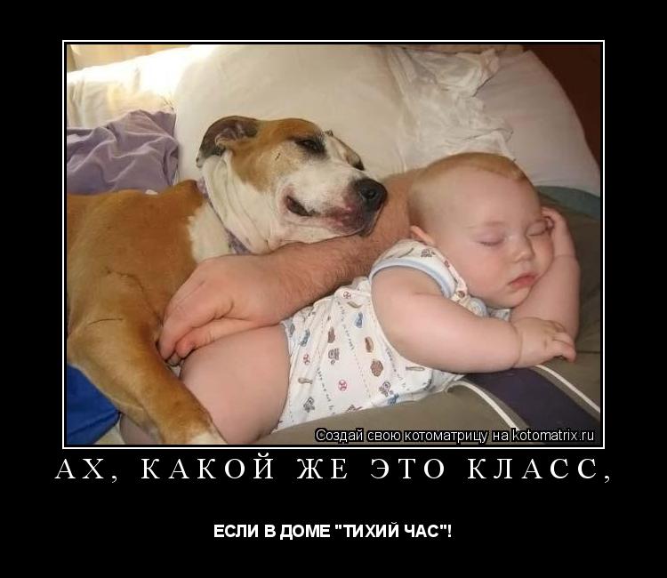 Котоматрица: АХ, КАКОЙ ЖЕ ЭТО КЛАСС,  ЕСЛИ В ДОМЕ "ТИХИЙ ЧАС"!