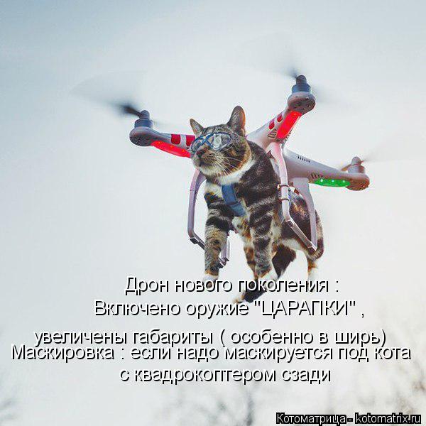 Котоматрица: Дрон нового поколения : Включено оружие "ЦАРАПКИ" ,  увеличены габариты ( особенно в ширь) Маскировка : если надо маскируется под кота с квадр