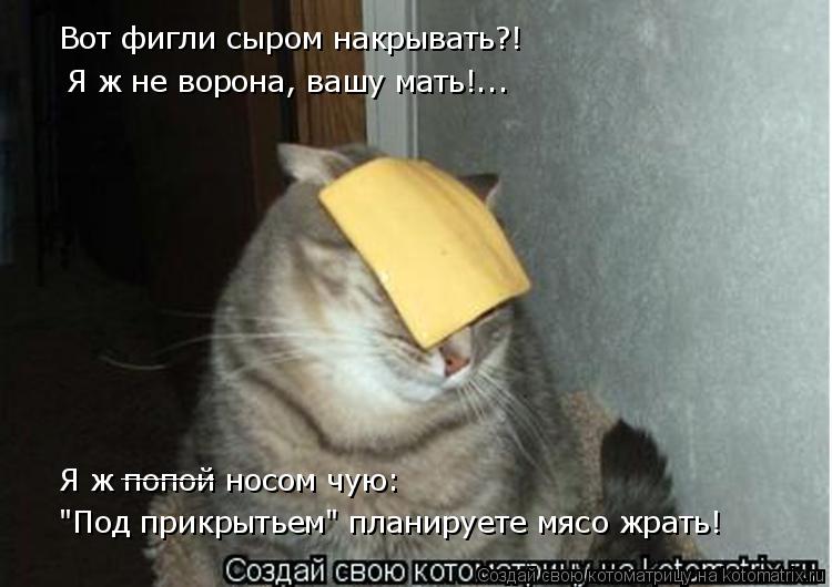 Котоматрица: Вот фигли сыром накрывать?! Я ж не ворона, вашу мать!... Я ж попой носом чую: "Под прикрытьем" планируете мясо жрать! _____