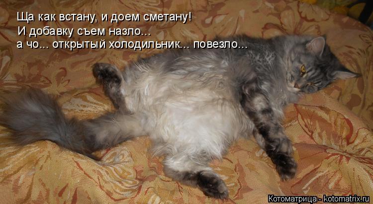 Котоматрица: Ща как встану, и доем сметану! И добавку съем назло... а чо... открытый холодильник... повезло...