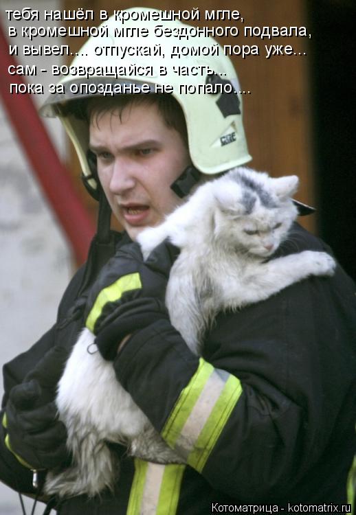 Котоматрица: тебя нашёл в кромешной мгле, в кромешной мгле бездонного подвала, и вывел.... отпускай, домой пора уже... сам - возвращайся в часть...  пока за оп