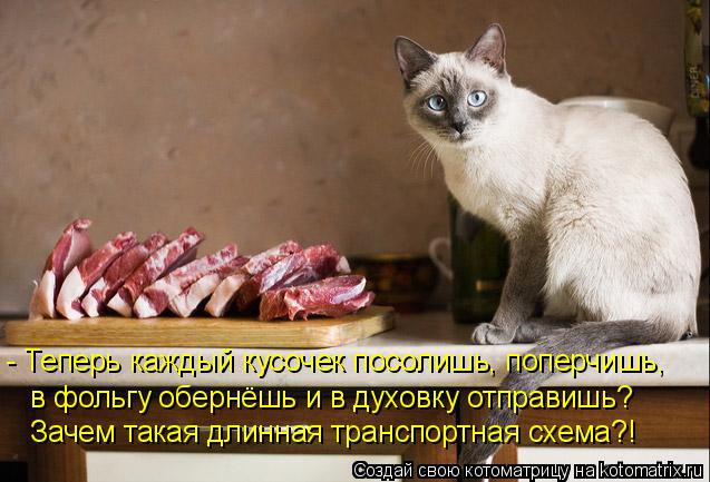 Котоматрица: - Теперь каждый кусочек посолишь, поперчишь, в фольгу обернёшь и в духовку отправишь? Зачем такая длинная транспортная схема?!