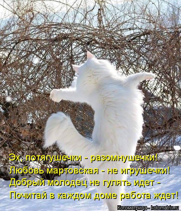 Котоматрица: Эх, потягушечки - разомнушечки! Любовь мартовская - не игрушечки! Добрый молодец не гулять идет - Почитай в каждом доме работа ждет!