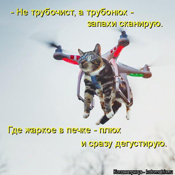 Котоматрица: - Не трубочист, а трубонюх - запахи сканирую. Где жаркое в печке - плюх и сразу дегустирую.