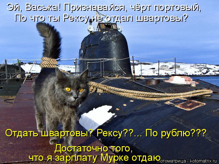 Котоматрица: Эй, Васька! Признавайся, чёрт портовый,  что я зарплату Мурке отдаю Достаточно того,  Отдать швартовы? Рексу??... По рублю??? По что ты Рексу не о