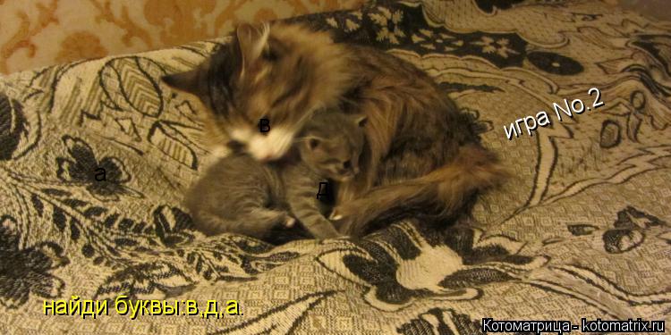 Котоматрица: игра Nо.2 в д а найди буквы:в,д,а.
