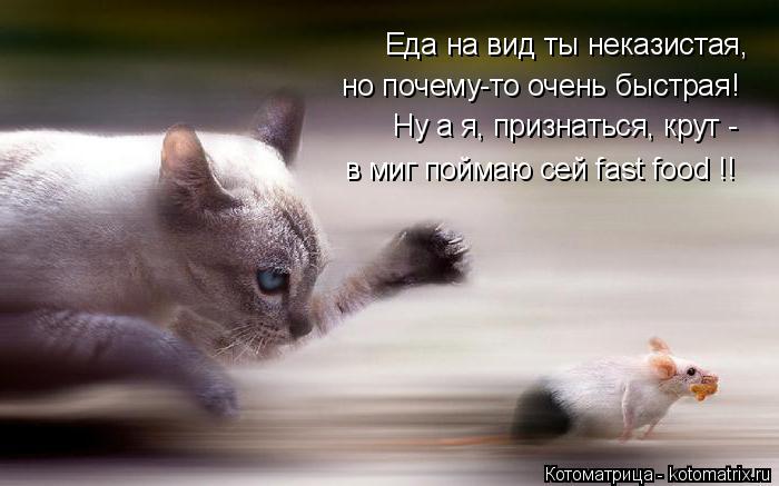Котоматрица: Еда на вид ты неказистая, но почему-то очень быстрая! Ну а я, признаться, крут - в миг поймаю сей fast food !!
