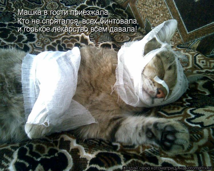 Котоматрица: Машка в гости приезжала... Кто не спрятался, всех бинтовала,  и горькое лекарство всем давала!