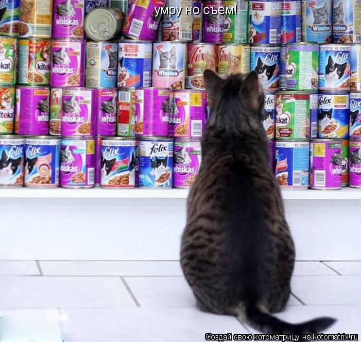 Котоматрица: умру но съем!