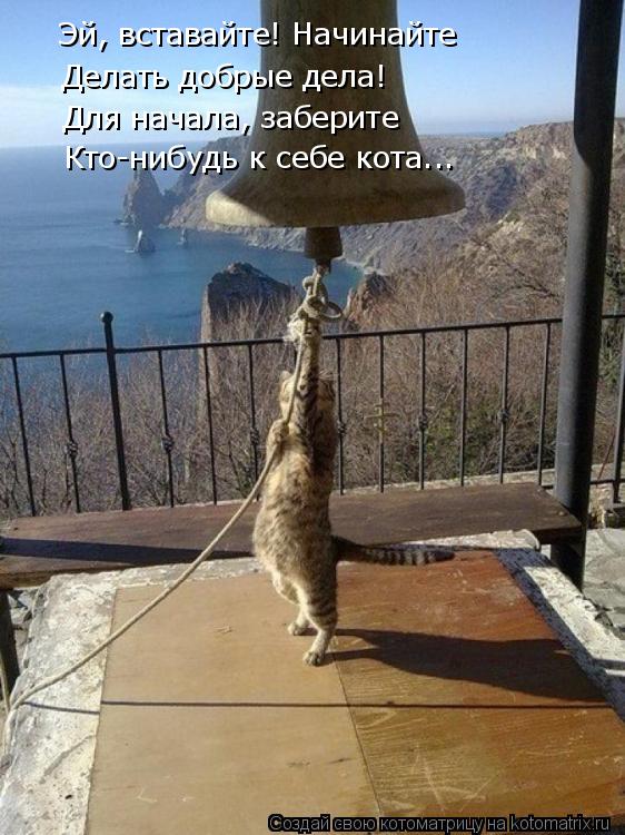 Котоматрица: Эй, вставайте! Начинайте Делать добрые дела! Для начала, заберите Кто-нибудь к себе кота...