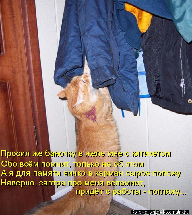Котоматрица: Просил же баночку в желе мне с китикетом Обо всём помнит, только не об этом А я для памяти яичко в карман сырое положу Наверно, завтра про мен