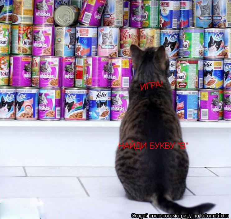 Котоматрица: ИГРА! НАЙДИ БУКВУ "В" в