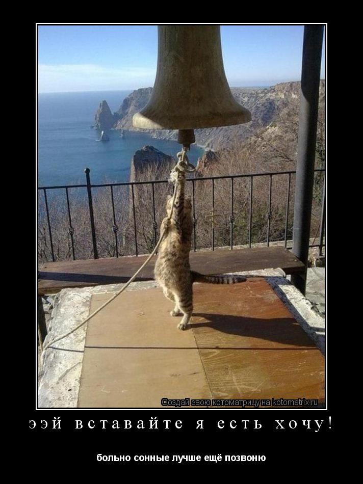 Котоматрица: ээй вставайте я есть хочу! больно сонные лучше ещё позвоню
