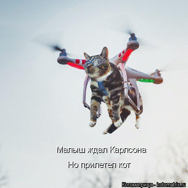 Котоматрица: Малыш ждал Карлсона Но прилетел кот