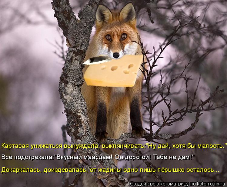 Котоматрица: Докаркалась, доиздевалась, от жадины одно лишь пёрышко осталось... Картавая унижаться вынуждала, выклянчивать:"Ну дай, хотя бы малость." Всё 