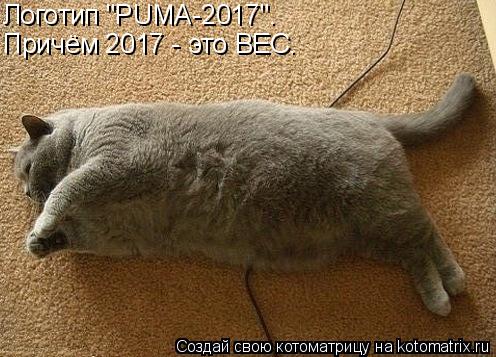 Котоматрица: Логотип "PUMA-2017". Причём 2017 - это ВЕС.