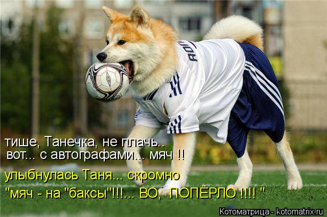 Котоматрица: тише, Танечка, не плачь.. вот... с автографами... мяч !! улыбнулась Таня... скромно "мяч - на "баксы"!!!... ВО,  ПОПЁРЛО !!!! "