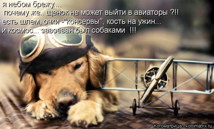 Котоматрица: я небом брежу.... и космос... завоёван был собаками  !!! почему же.. щенок не может выйти в авиаторы ?!! есть шлем, очки -"консервы", кость на ужин...
