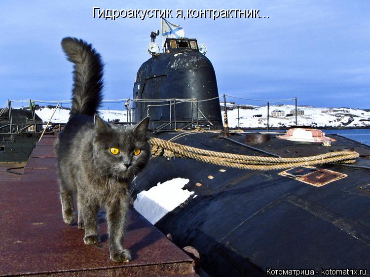 Котоматрица: Гидроакустик я,контрактник...
