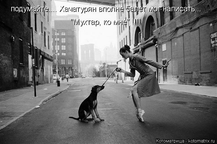 Котоматрица: подумайте.... Хачатурян вполне балет мог написать...  "Мухтар, ко мне" !!!!