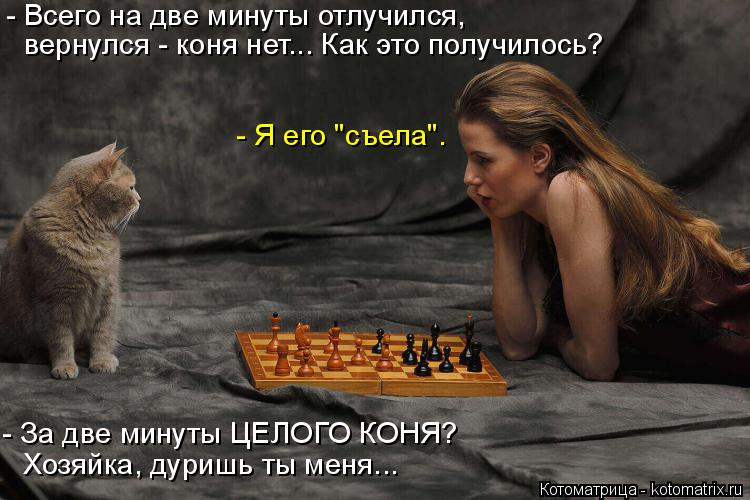 - Всего на две минуты отлучился, вернулся - коня нет... Как это получилось? - Я его "съела". - За две... Котоматрица: - Всего на две минуты отлучился, вернулся - коня нет... Как это получилось? - Я его "съела". - За две минуты ЦЕЛОГО КОНЯ? Хозяйка, дуришь ты меня...