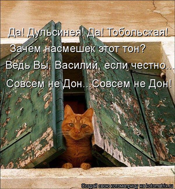 Котоматрица: Зачем насмешек этот тон? Ведь Вы, Василий, если честно... Совсем не Дон...Совсем не Дон! Да! Дульсинея! Да! Тобольская!