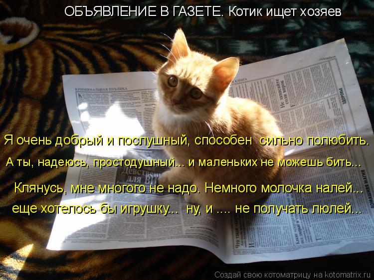 Котоматрица: ОБЪЯВЛЕНИЕ В ГАЗЕТЕ. Котик ищет хозяев Клянусь, мне многого не надо. Немного молочка налей... А ты, надеюсь, простодушный... и маленьких не мож