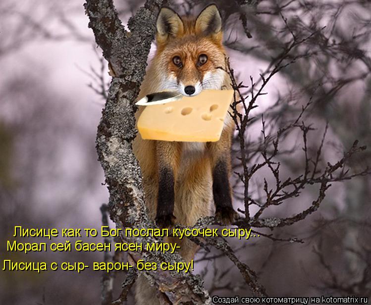 Котоматрица: Лисице как то Бог послал кусочек сыру... Морал сей басен ясен миру- Лисица с сыр- варон- без сыру!
