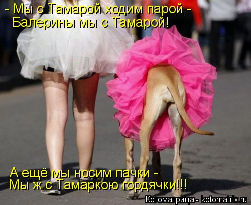 Котоматрица: - Мы с Тамарой ходим парой - Балерины мы с Тамарой! А ещё мы носим пачки -  Мы ж с Тамаркою гордячки!!!