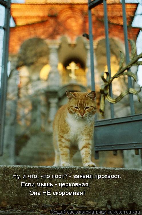 Ну, и что, что пост? - заявил прохвост. Если мышь - церковная, Она НЕ скоромная!... Котоматрица: Ну, и что, что пост? - заявил прохвост. Если мышь - церковная, Она НЕ скоромная!
