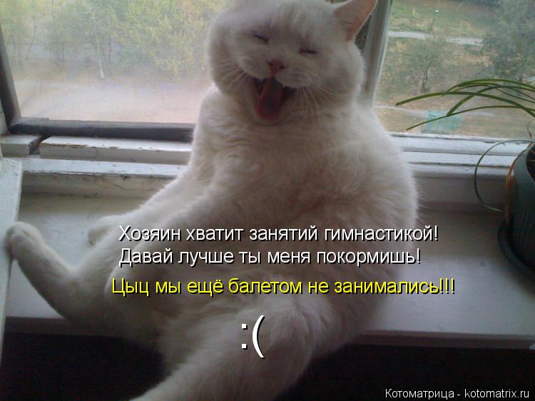 Хозяин хватит занятий гимнастикой! Давай лучше ты меня покормишь! Цыц мы ещё балетом не занимались!!!... Котоматрица: Хозяин хватит занятий гимнастикой! Давай лучше ты меня покормишь! Цыц мы ещё балетом не занимались!!! :(