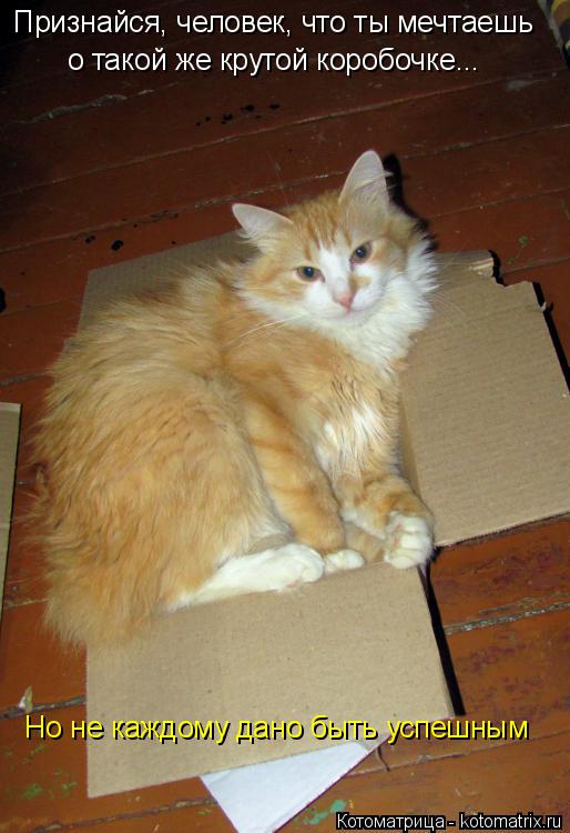 Признайся, человек, что ты мечтаешь о такой же крутой коробочке... Но не каждому дано быть успешным... Котоматрица: Признайся, человек, что ты мечтаешь о такой же крутой коробочке... Но не каждому дано быть успешным