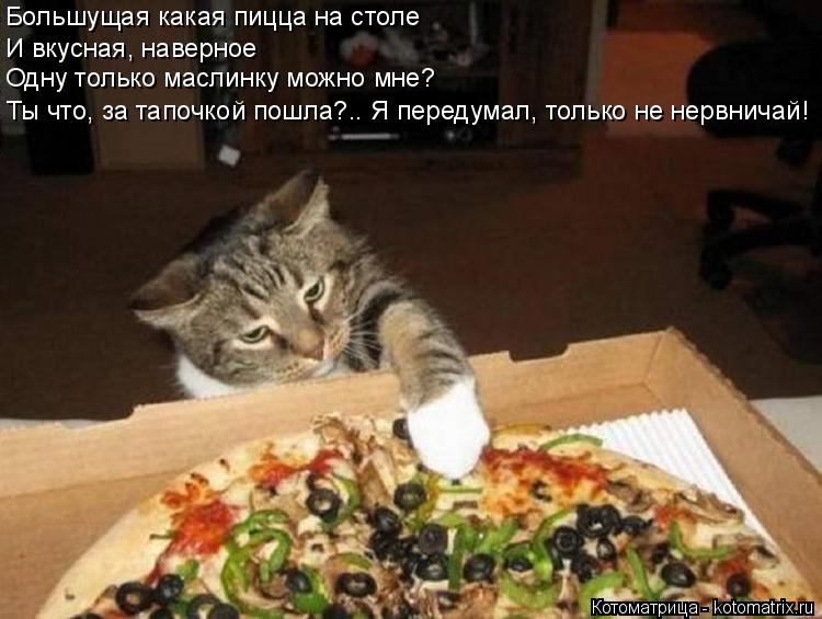 Большущая какая пицца на столе И вкусная, наверное Одну только маслинку можно мне? Ты что, за тапочко... Котоматрица: Большущая какая пицца на столе И вкусная, наверное Одну только маслинку можно мне? Ты что, за тапочкой пошла?.. Я передумал, только не нервнич