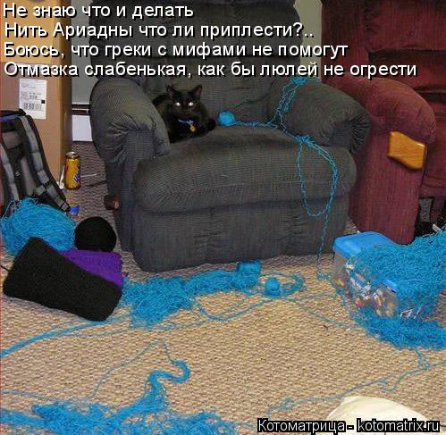 Не знаю что и делать Нить Ариадны что ли приплести?.. Боюсь, что греки с мифами не помогут Отмазка с... Котоматрица: Не знаю что и делать Нить Ариадны что ли приплести?.. Боюсь, что греки с мифами не помогут Отмазка слабенькая, как бы люлей не огрести
