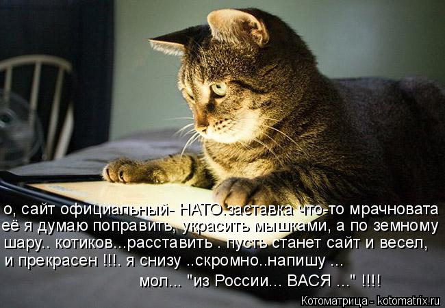 о, сайт официальный- НАТО.заставка что-то мрачновата её я думаю поправить, украсить мышками, а по зем... Котоматрица: о, сайт официальный- НАТО.заставка что-то мрачновата её я думаю поправить, украсить мышками, а по земному шару.. котиков...расставить . пусть с