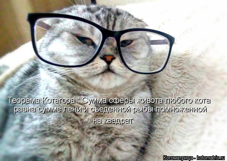 Теорема Котагора : Сумма сферы живота любого кота равна сумме лени и съеденной рыбы помноженной на к... Котоматрица: Теорема Котагора : Сумма сферы живота любого кота равна сумме лени и съеденной рыбы помноженной на квадрат
