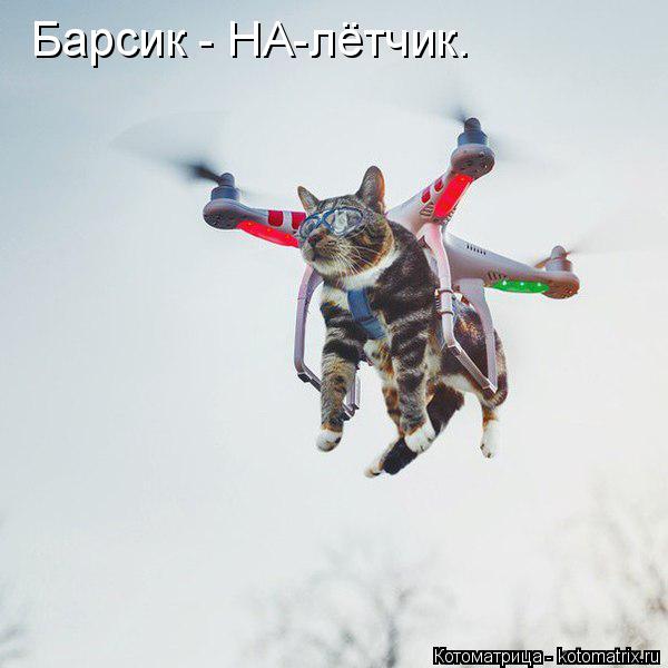 Котоматрица: Барсик - НА-лётчик.