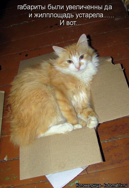габариты были увеличенны да и жилплощадь устарела...... И вот...... Котоматрица: габариты были увеличенны да и жилплощадь устарела...... И вот...