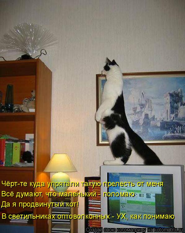 Чёрт-те куда упрятали такую прелесть от меня В светильниках оптоволконных - УХ, как понимаю Всё думаю... Котоматрица: Чёрт-те куда упрятали такую прелесть от меня В светильниках оптоволконных - УХ, как понимаю Всё думают, что маленький - поломаю Да я продвин