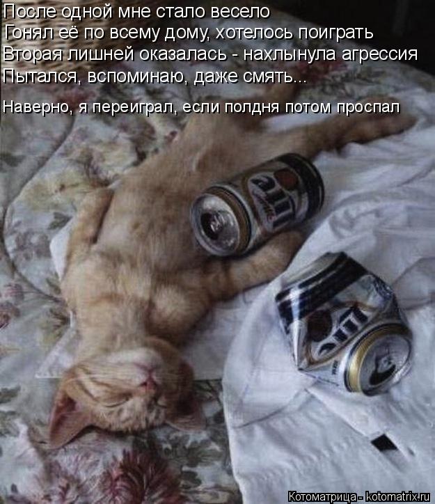 После одной мне стало весело Гонял её по всему дому, хотелось поиграть Вторая лишней оказалась - нахл... Котоматрица: После одной мне стало весело Гонял её по всему дому, хотелось поиграть Вторая лишней оказалась - нахлынула агрессия Пытался, вспоминаю, даж