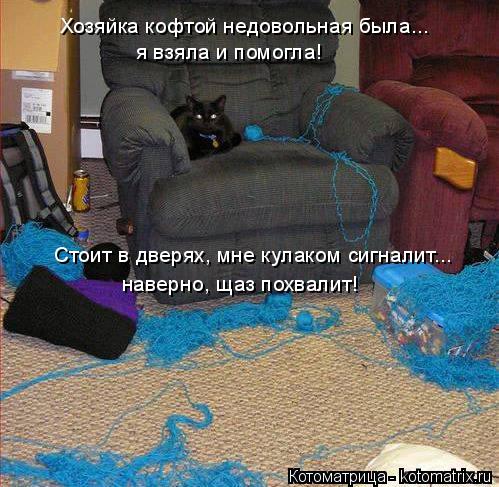 Хозяйка кофтой недовольная была... я взяла и помогла! Стоит в дверях, мне кулаком сигналит... наверн... Котоматрица: Хозяйка кофтой недовольная была... я взяла и помогла! Стоит в дверях, мне кулаком сигналит... наверно, щаз похвалит!