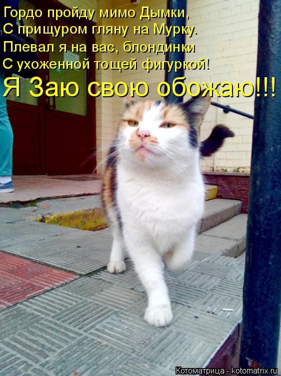 Гордо пройду мимо Дымки, С прищуром гляну на Мурку. Плевал я на вас, блондинки С ухоженной тощей фигу... Котоматрица: Гордо пройду мимо Дымки, С прищуром гляну на Мурку. Плевал я на вас, блондинки С ухоженной тощей фигуркой! Я Заю свою обожаю!!!