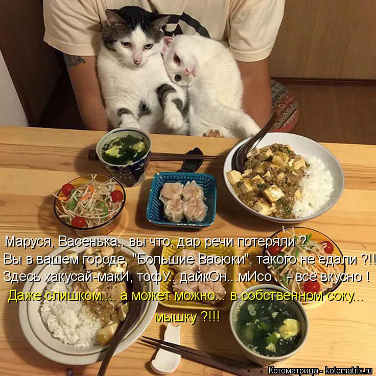 Здесь хакусай-макИ, тофУ.. дайкОн...мИсо .. - всё вкусно ! Даже слишком.... а может можно... в собств... Котоматрица: Здесь хакусай-макИ, тофУ.. дайкОн...мИсо .. - всё вкусно ! Даже слишком.... а может можно... в собственном соку... мышку ?!!! Маруся, Васенька.. вы что,