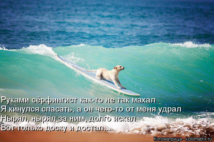 Котоматрица: Руками сёрфингист как-то не так махал Я кинулся спасать, а он чего-то от меня удрал Нырял, нырял за ним, долго искал Вот только доску и достал.