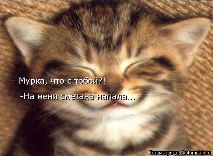 - Мурка, что с тобой?! - Мурка, что с тобой?! -На меня сметана напала... -На меня сметана напала...... Котоматрица: - Мурка, что с тобой?! - Мурка, что с тобой?! -На меня сметана напала... -На меня сметана напала...
