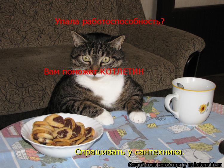 Упала работоспособность? Вам поможет КОТЛЕТИН Спрашивать у сантехника.... Котоматрица: Упала работоспособность? Вам поможет КОТЛЕТИН Спрашивать у сантехника.
